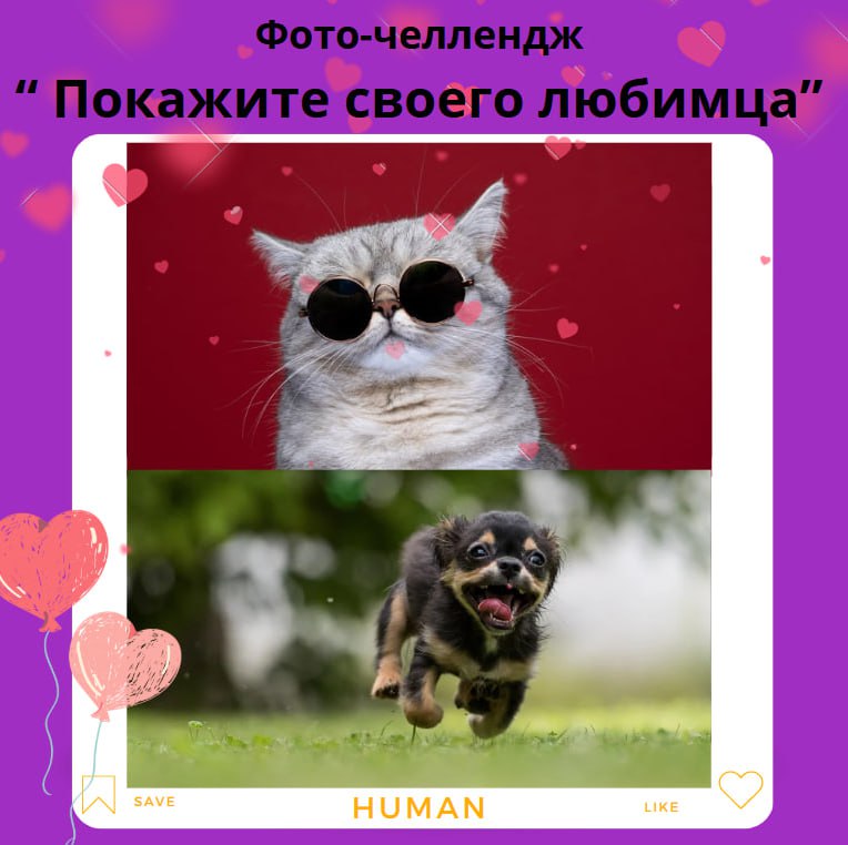 🐾❤️ Фото-челлендж: покажите своего любимца!🐶🐱
Коллеги, согласитесь, что в нашей работе уровень стресса иногда зашкаливает | Сетка — социальная сеть от hh.ru
