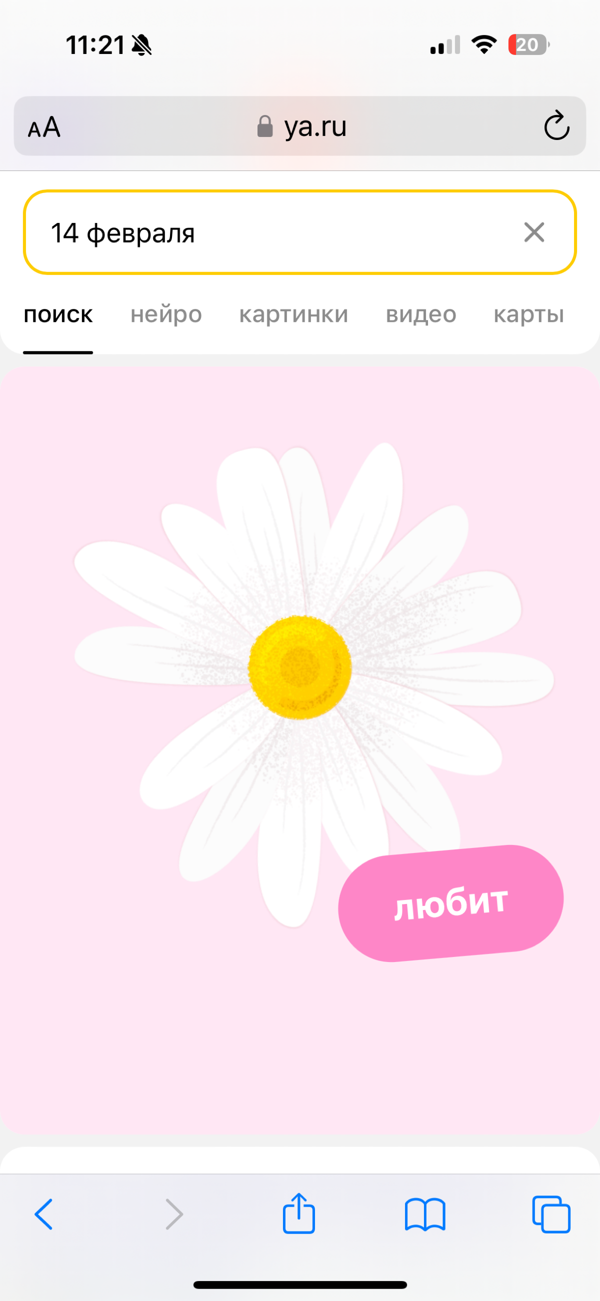 Погадаем на ромашке Яндекса в честь 14 февраля? | Сетка — социальная сеть от hh.ru