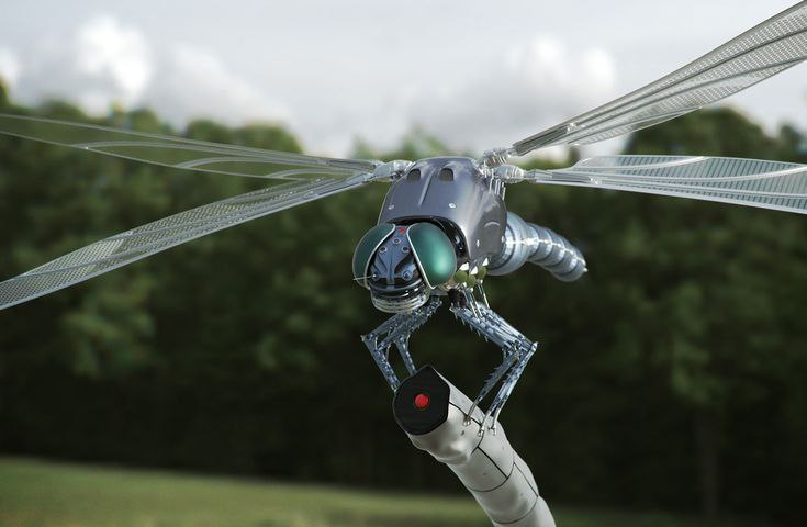 РОБОСТРЕКОЗА ЦРУ: КОГДА ШПИОНЫ ЗАХОТЕЛИ СТАТЬ ЭНТОМОЛОГАМИ
Я уже писал проделках наших западных партнеров: как они по одному фото в журнале нашли кучу секретной инфомрации и как пытались сделать супер... | Сетка — социальная сеть от hh.ru