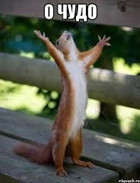 Обрыва нет, всё заработало! проверьте свои подключения. Перезагрузите роутеры если требуется. | Сетка — социальная сеть от hh.ru