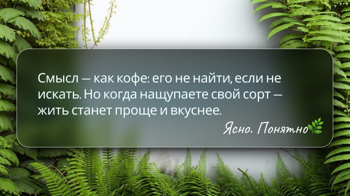 Почему вы до сих пор не нашли смысл жизни? | Сетка — социальная сеть от hh.ru