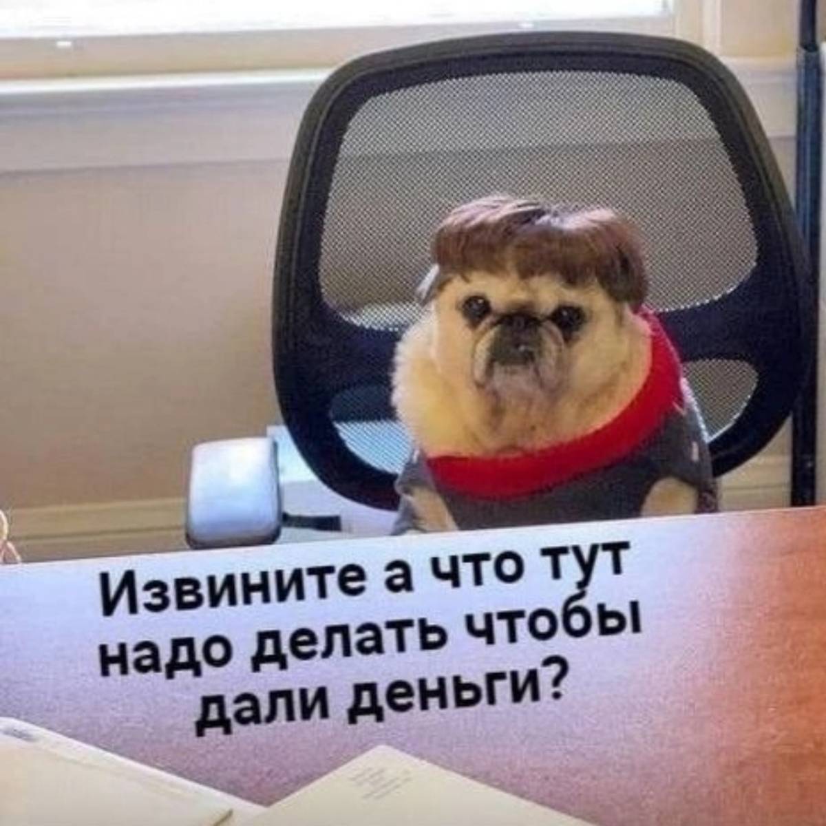 Записки Seoшника