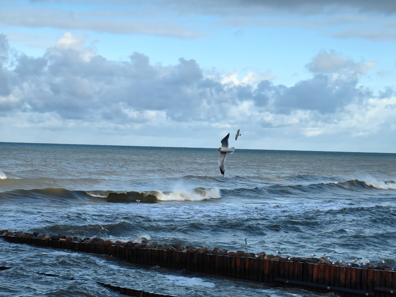 Что вас вдохновляет❓
Пятница — время не только для планов на выходные, но и для того, чтобы оглянуться на неделю и задуматься: что двигает нас вперед? Для меня, как системного аналитика, вдохновение р... | Сетка — социальная сеть от hh.ru