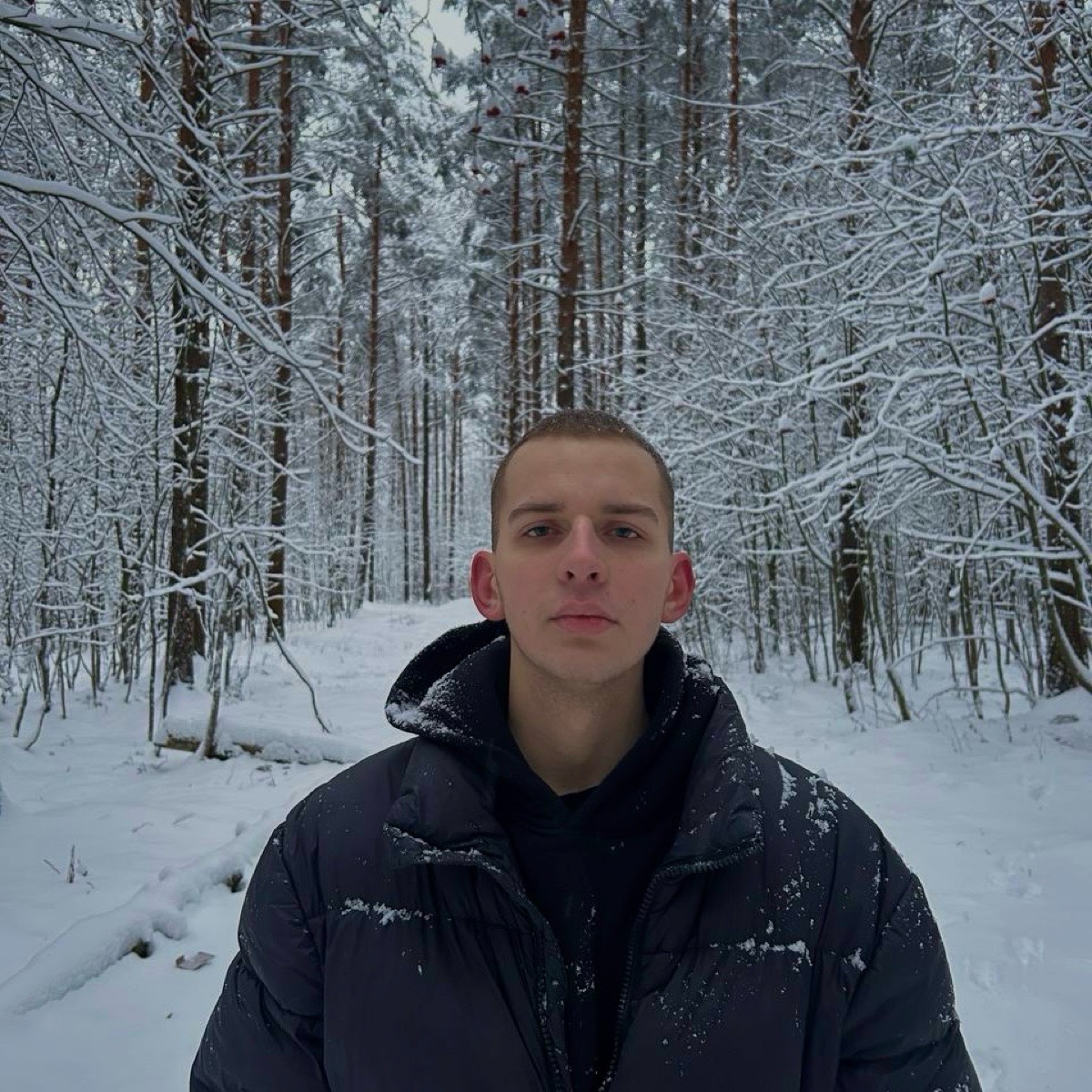 Артём Горностаев