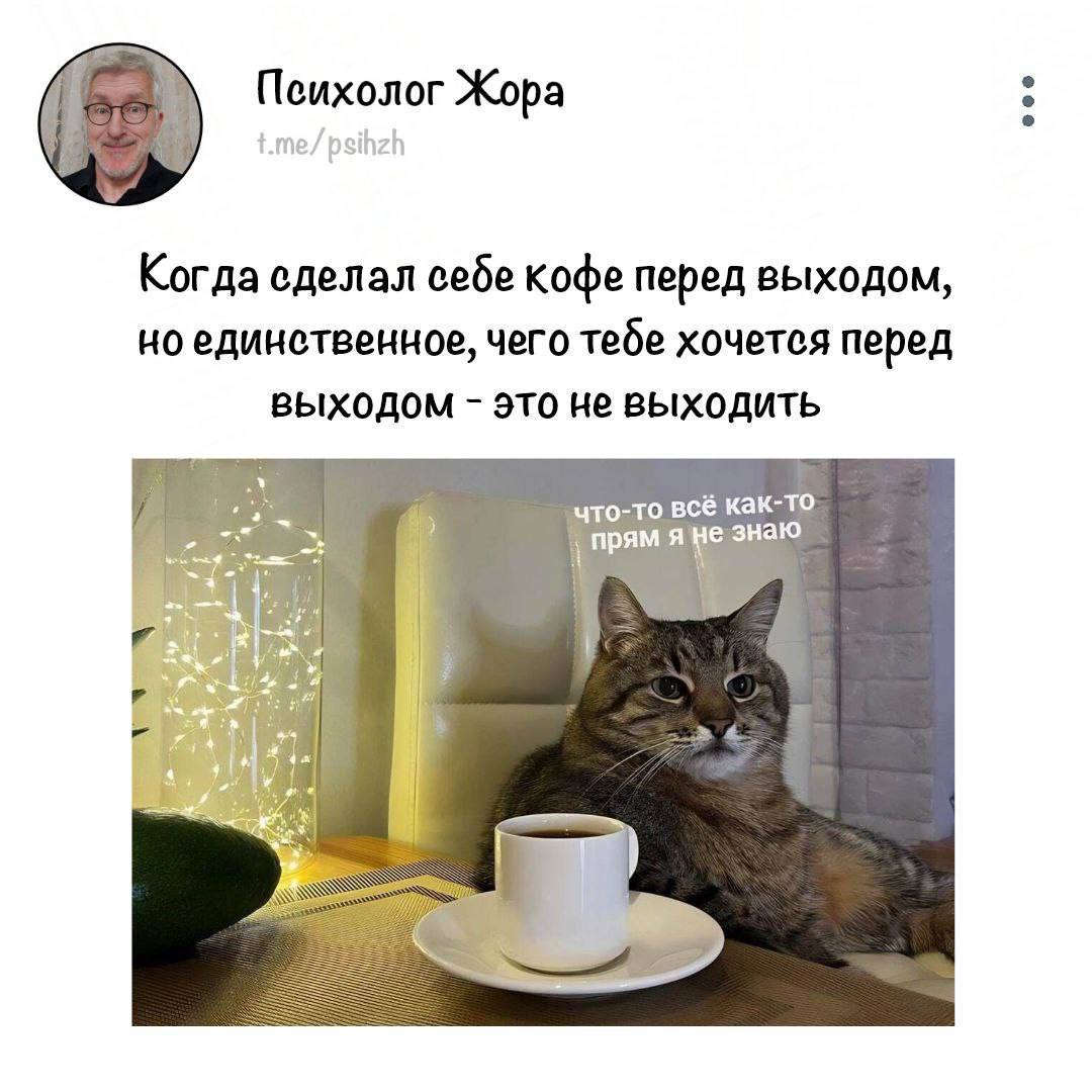 Мысли на ночь.
Ситуация! Поехала сегодня на завтрак, вызвала такси. Водитель поехал какими-то дворами, машина грязная, какой-то странный запах, ехала вся раздраженная | Сетка — социальная сеть от hh.ru
