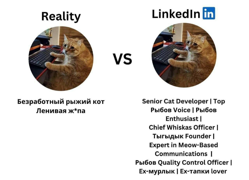 А кто вы в сетке? 😁 | Сетка — социальная сеть от hh.ru