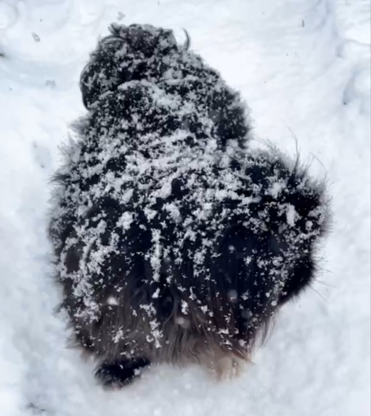 Ты туда не ходи, ты сюда ходи, а то снег башка попадёт
Этой зимой у Калининграда снега и не просили. Прошлой посорвало водостоки и деревья поломало. Обе - не айс. У нас привычнее ливни и ураганы | Сетка — социальная сеть от hh.ru