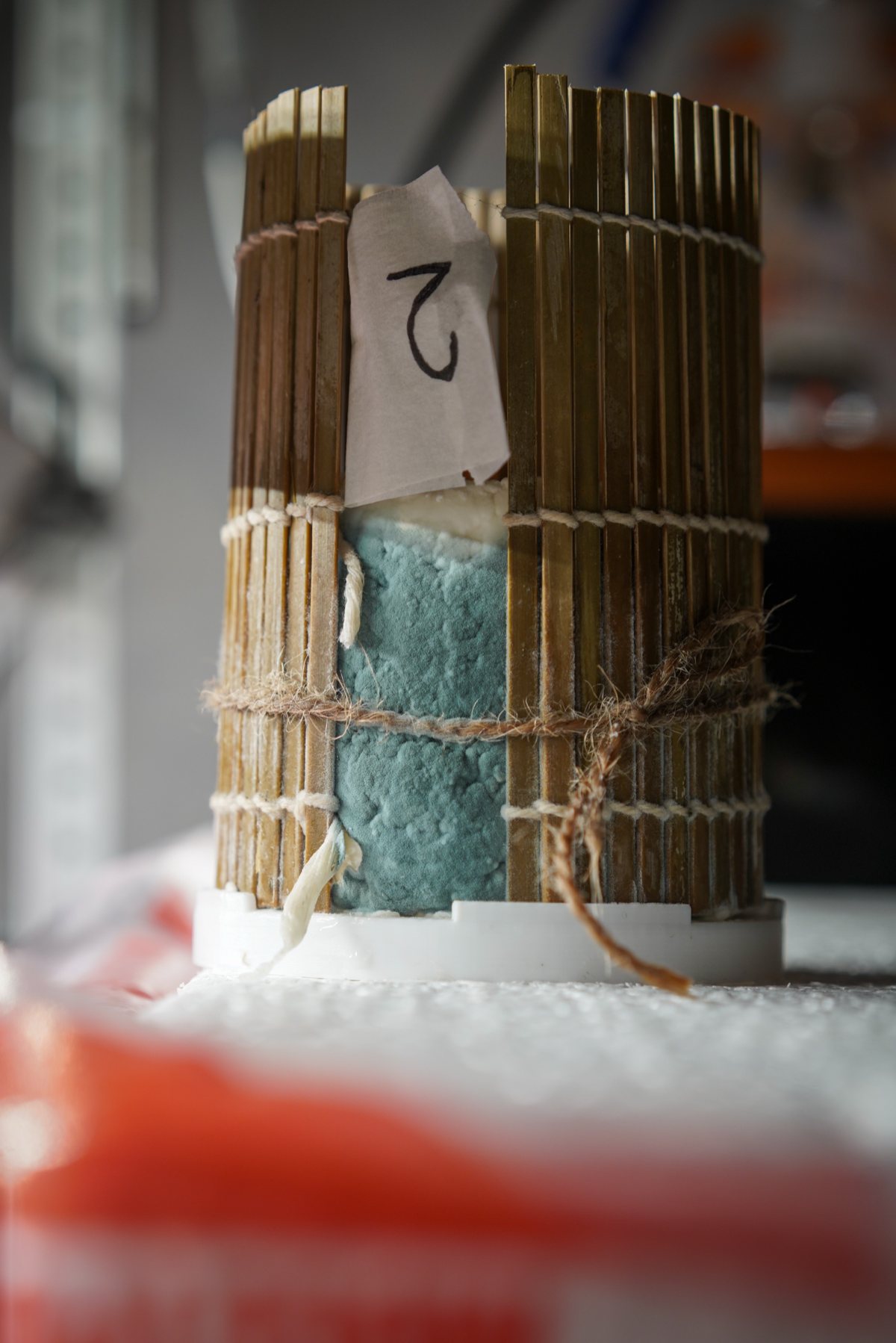 Контроль плесени на поверхности сыра | Сетка — социальная сеть от hh.ru