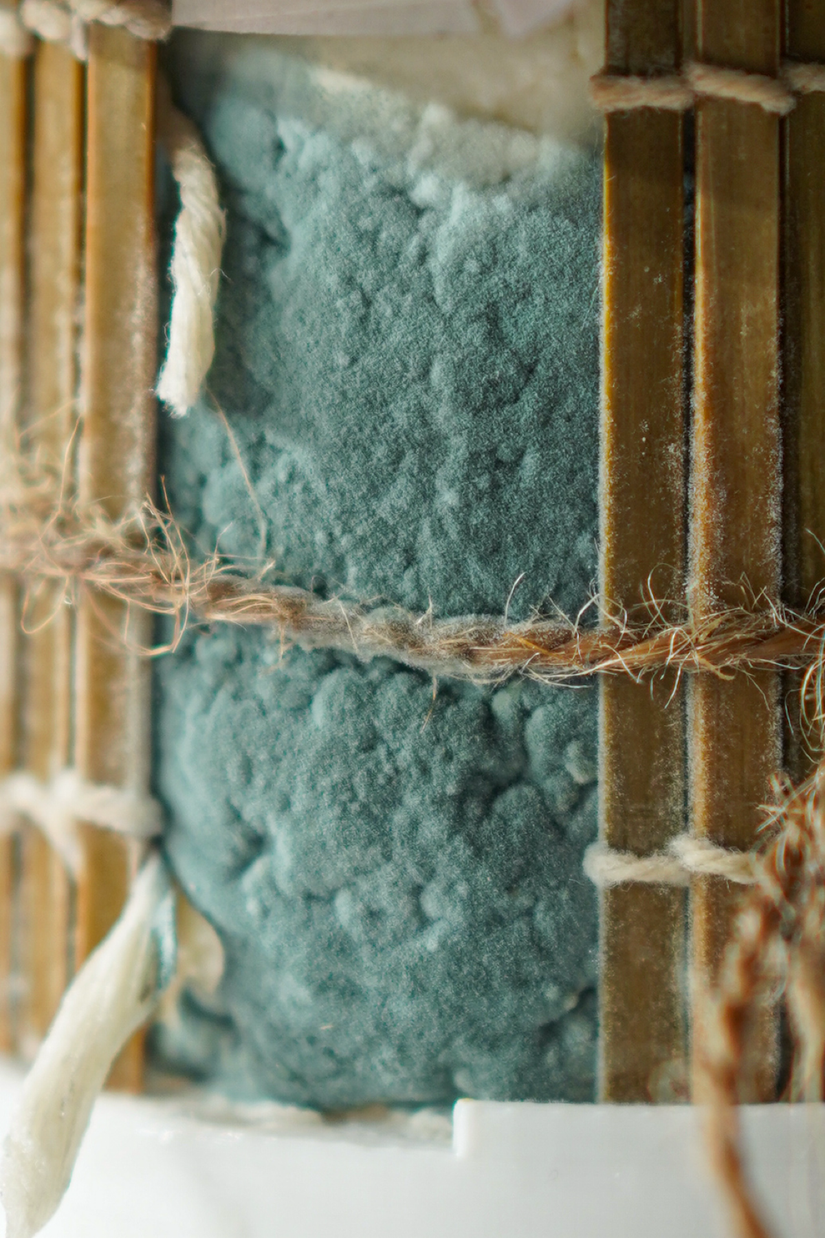 Контроль плесени на поверхности сыра | Сетка — социальная сеть от hh.ru