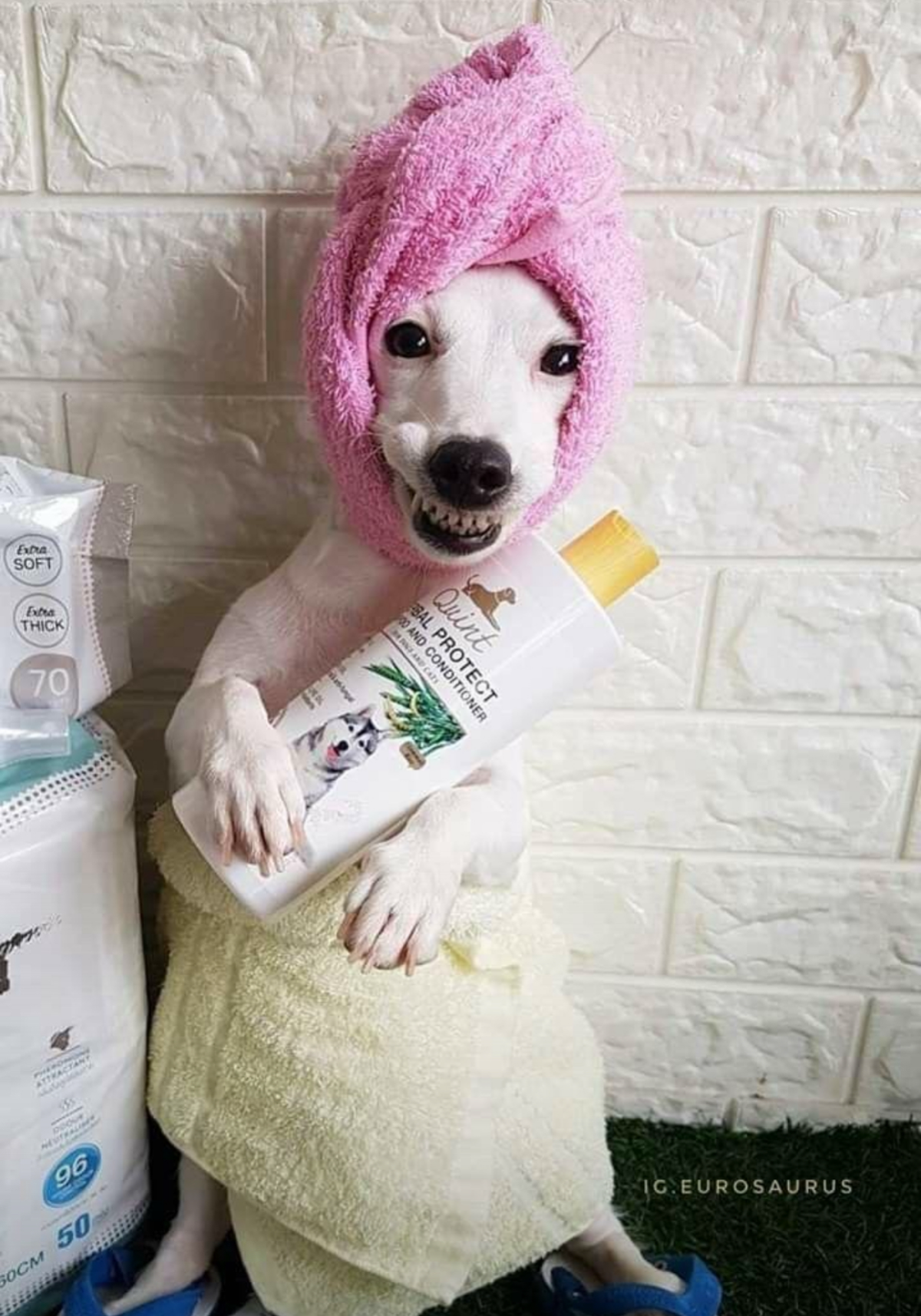 Готовы к понедельнику? 😁👍
🙏😁👍 подписывайтесь 👇
🔥 В телеграм https://t.me/hellogarag | Сетка — социальная сеть от hh.ru