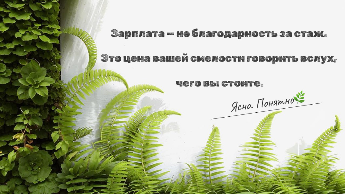 Почему вам до сих пор не повысили зарплату? | Сетка — социальная сеть от hh.ru