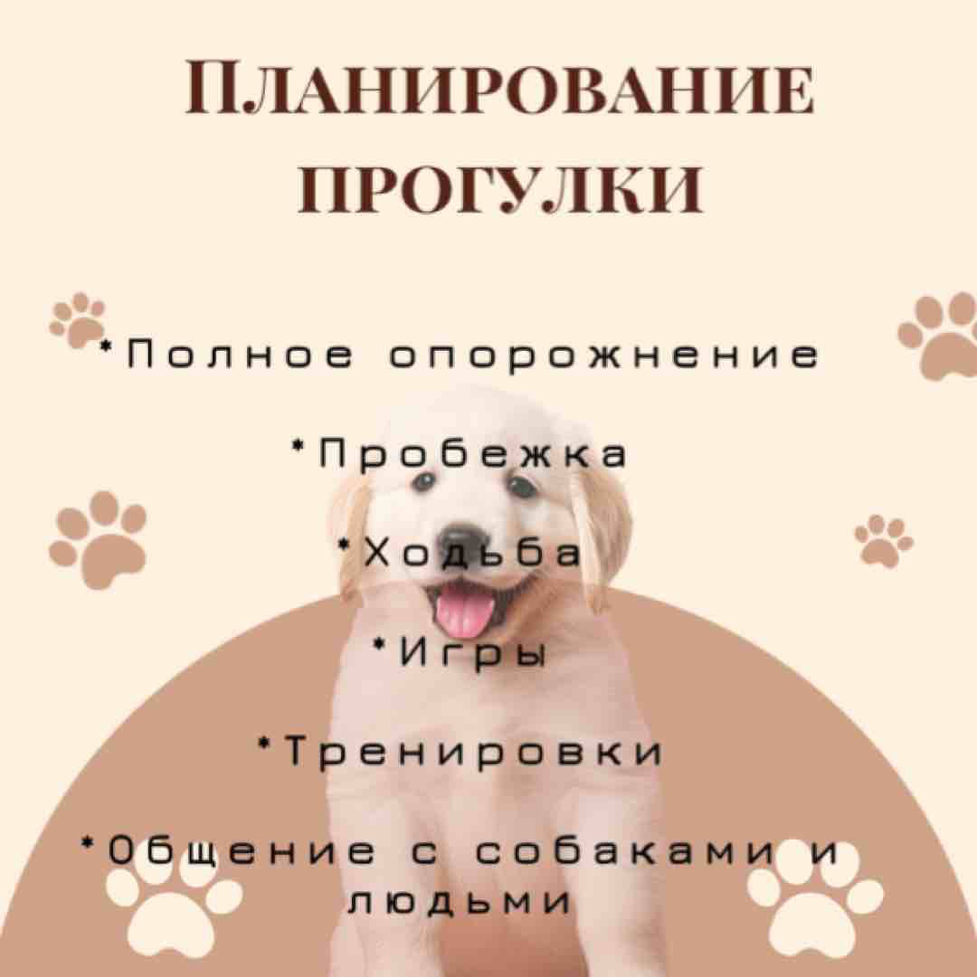 🐾 Почему собаке так важны прогулки? 🐾
Прогулки для собаки – это не просто необходимость справить нужду | Сетка — социальная сеть от hh.ru