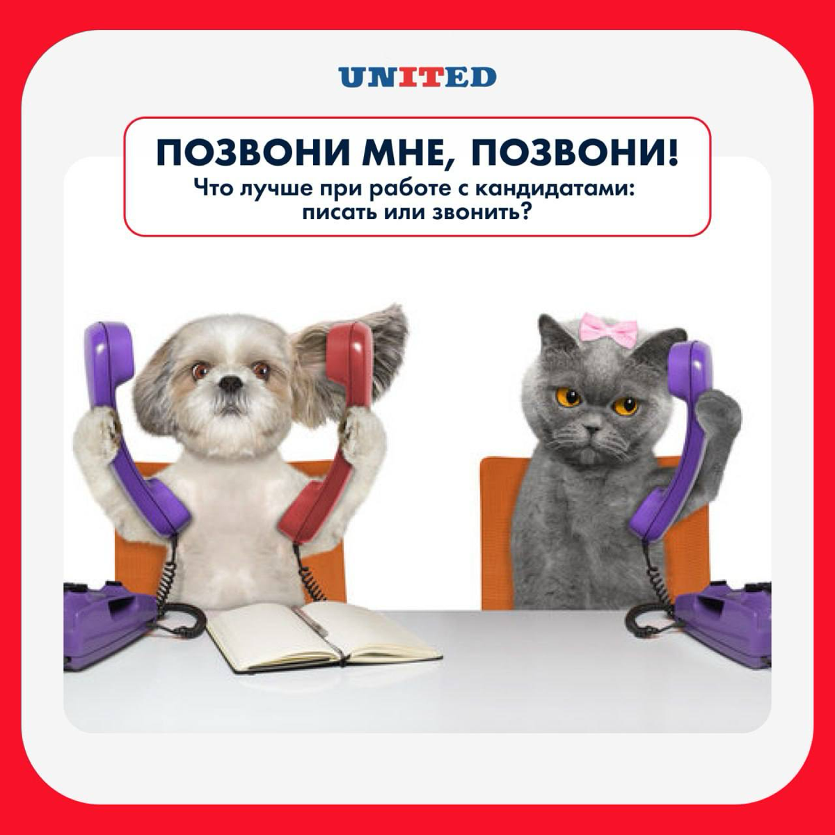 💬 Позвони мне, позвони! Что лучше при работе с кандидатами: писать или звонить?
В современном мире существуют два основных способа коммуникации с кандидатами: письма и звонки | Сетка — социальная сеть от hh.ru