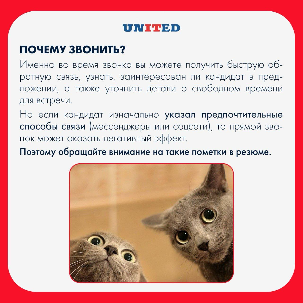 💬 Позвони мне, позвони! Что лучше при работе с кандидатами: писать или звонить?
В современном мире существуют два основных способа коммуникации с кандидатами: письма и звонки | Сетка — социальная сеть от hh.ru