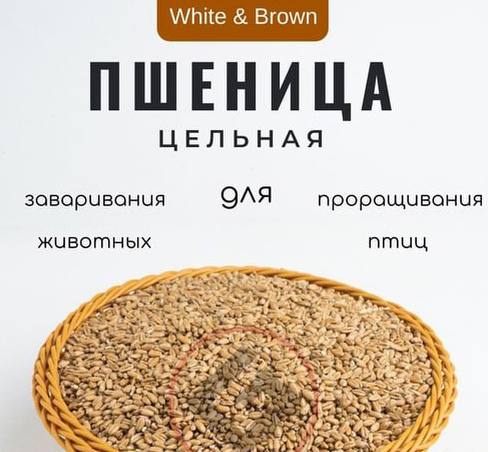 Пшеница цельная. Для заваривания животных. Для проращивания птиц | Сетка — социальная сеть от hh.ru