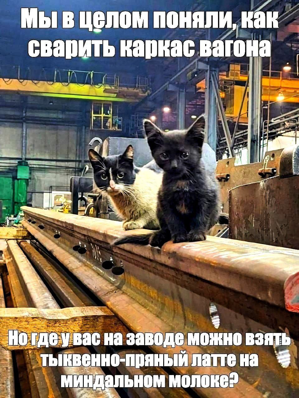 Что-то из теории поколений...
Котики — биг лав❤ Ждем таких же кандидатов?)
#будниhr | Сетка — социальная сеть от hh.ru