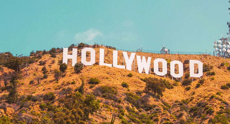 Полиция сняла мужчину с вывести Hollywood, где он рекламировал токен | Сетка — социальная сеть от hh.ru