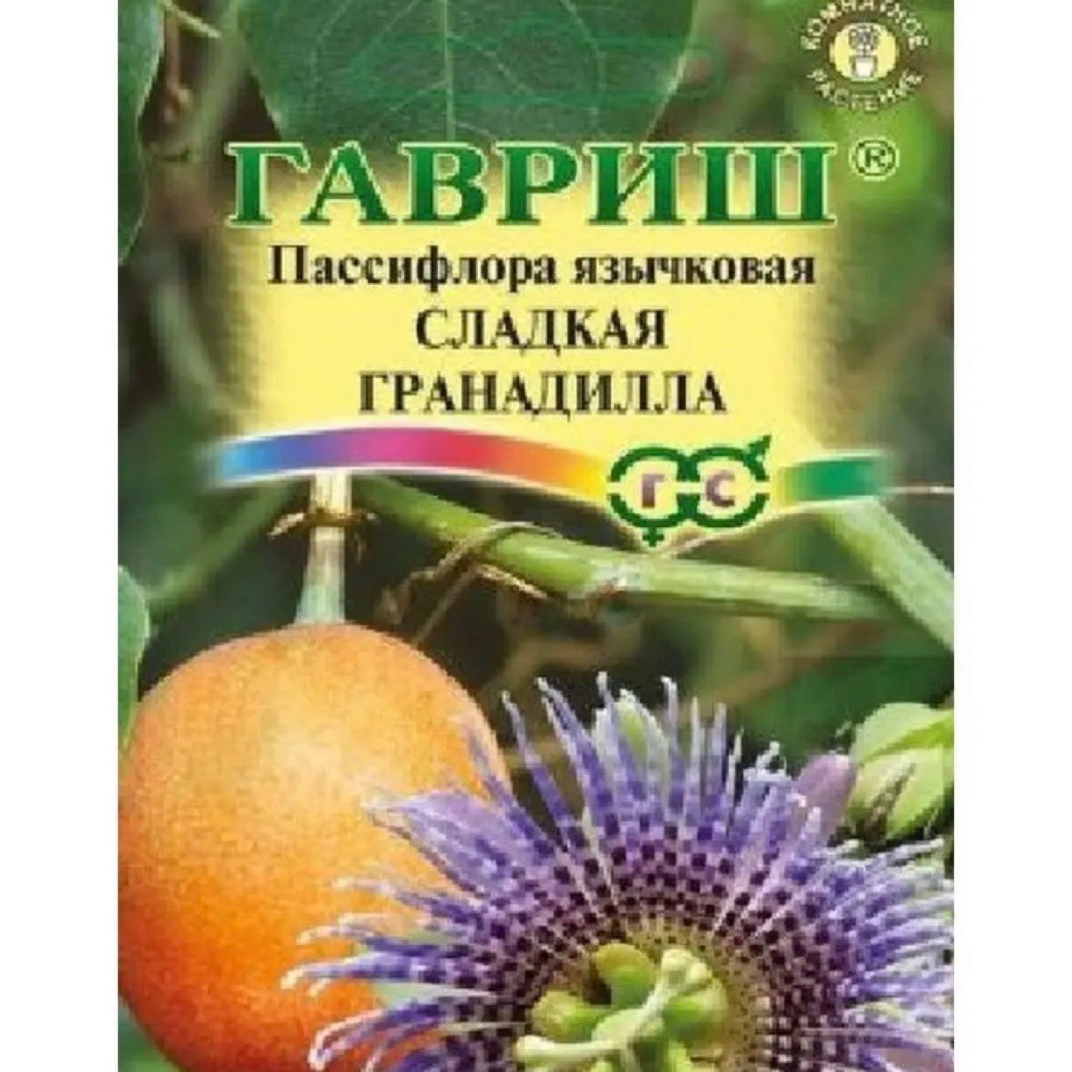 Арсений Гаврилов