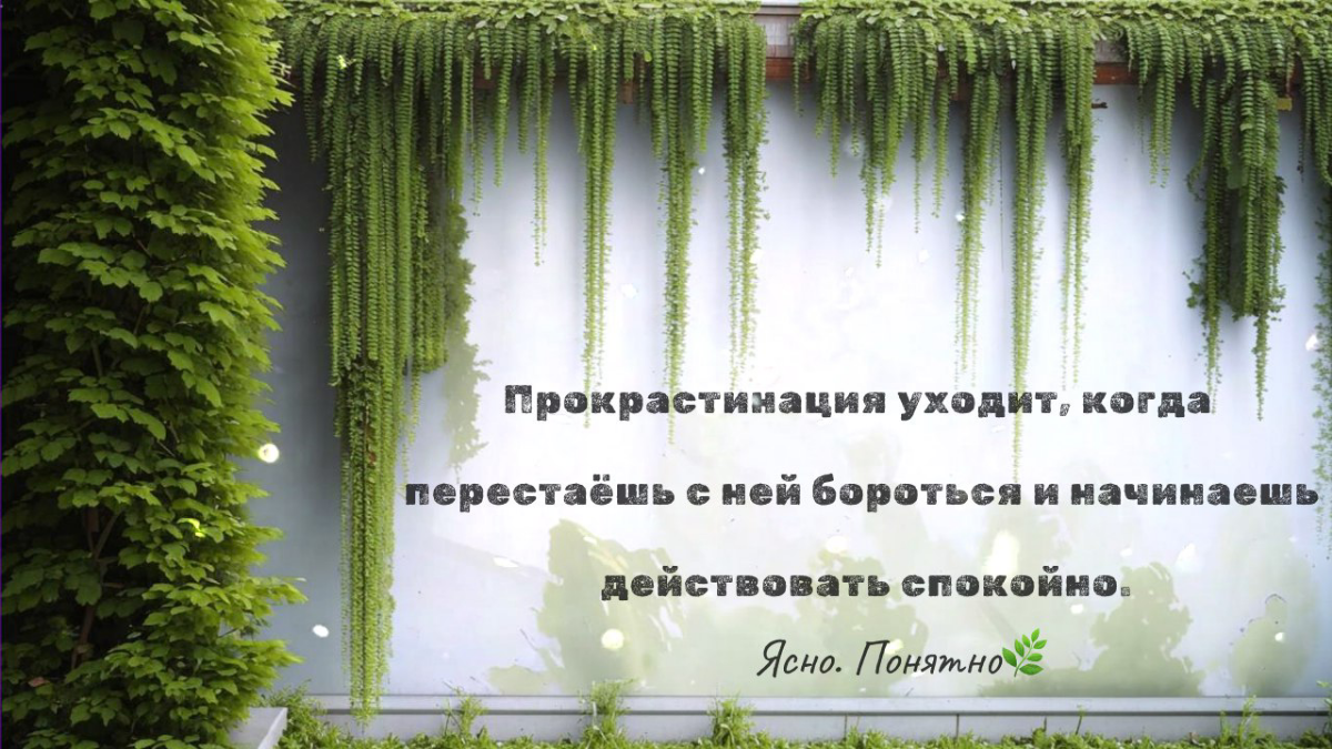 «„Я ничего не делаю, и это нормально“👌 | Сетка — социальная сеть от hh.ru
