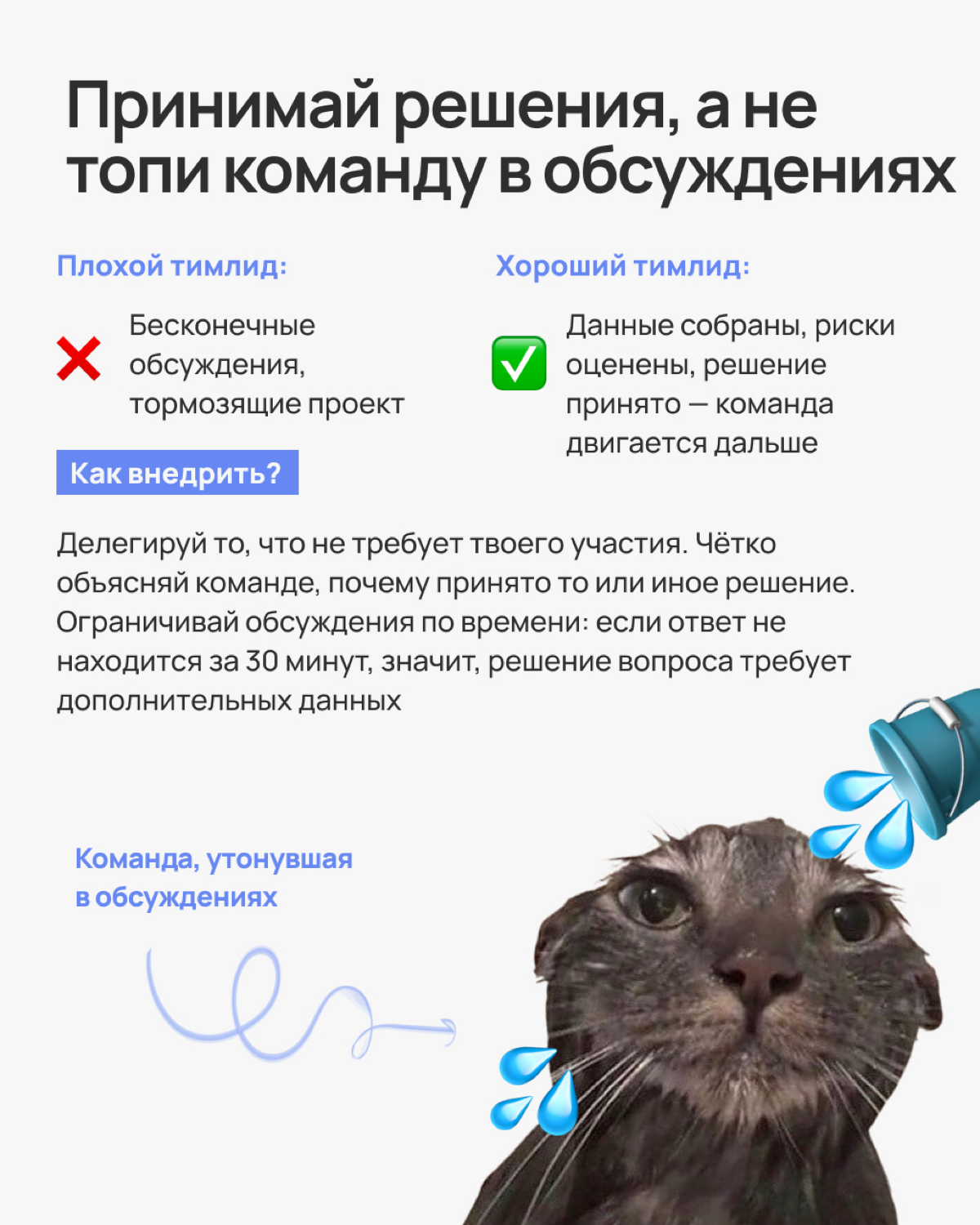 Крутой тимлид создаёт атмосферу, в которой команда работает эффективно и без нервяков | Сетка — социальная сеть от hh.ru