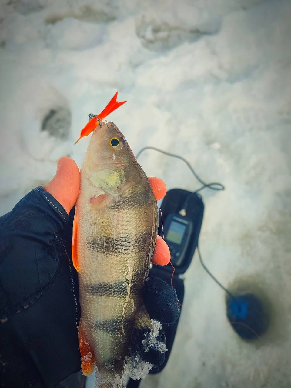 Всем привет, друзья! Очередная рыбалка на домашнем водоёме дала повод задуматься, а есть ли глухозимье вообще.
Погода была максимально на моей стороне: -10 и почти безветренно | Сетка — социальная сеть от hh.ru