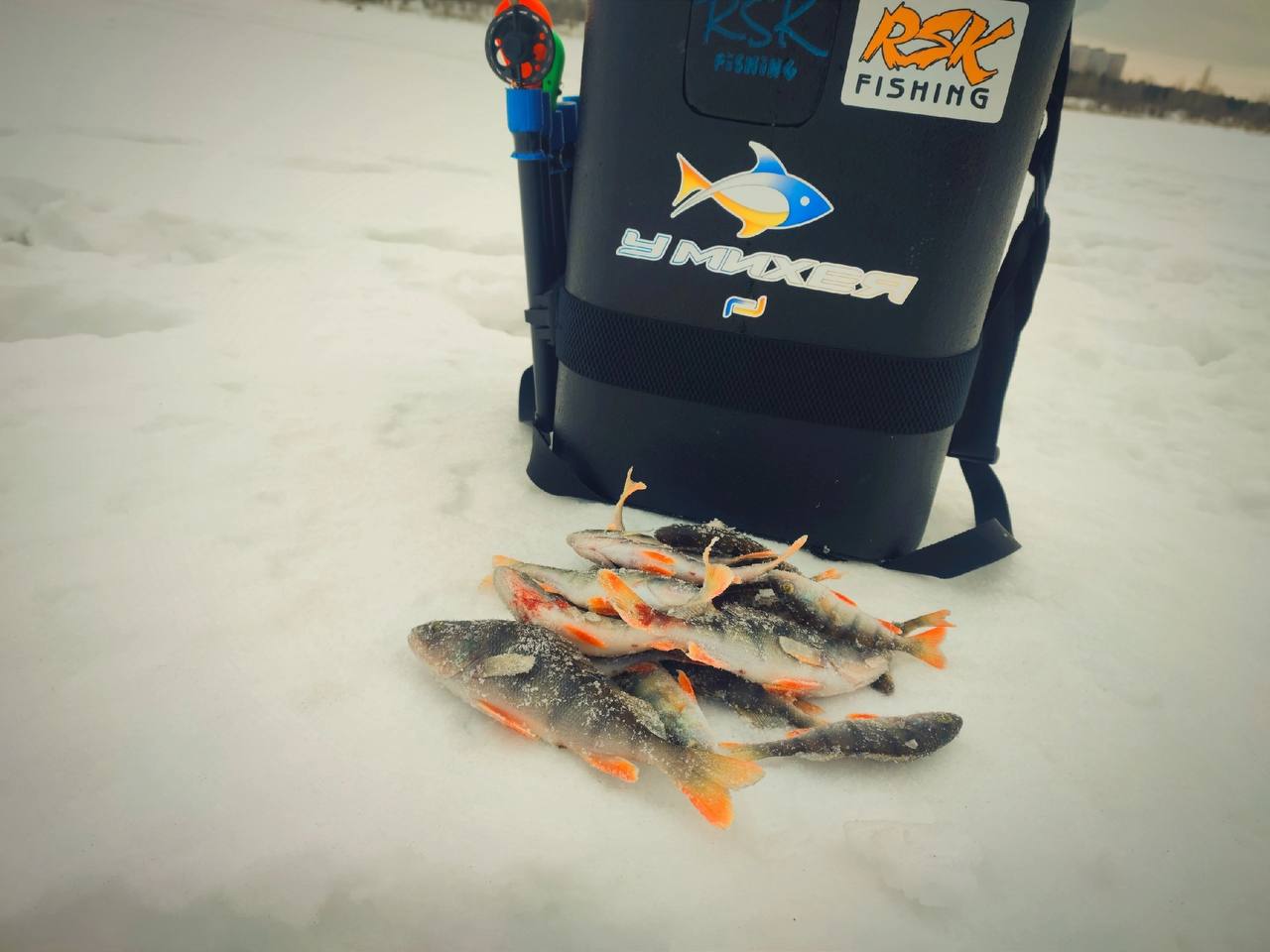 Всем привет, друзья! Очередная рыбалка на домашнем водоёме дала повод задуматься, а есть ли глухозимье вообще.
Погода была максимально на моей стороне: -10 и почти безветренно | Сетка — социальная сеть от hh.ru