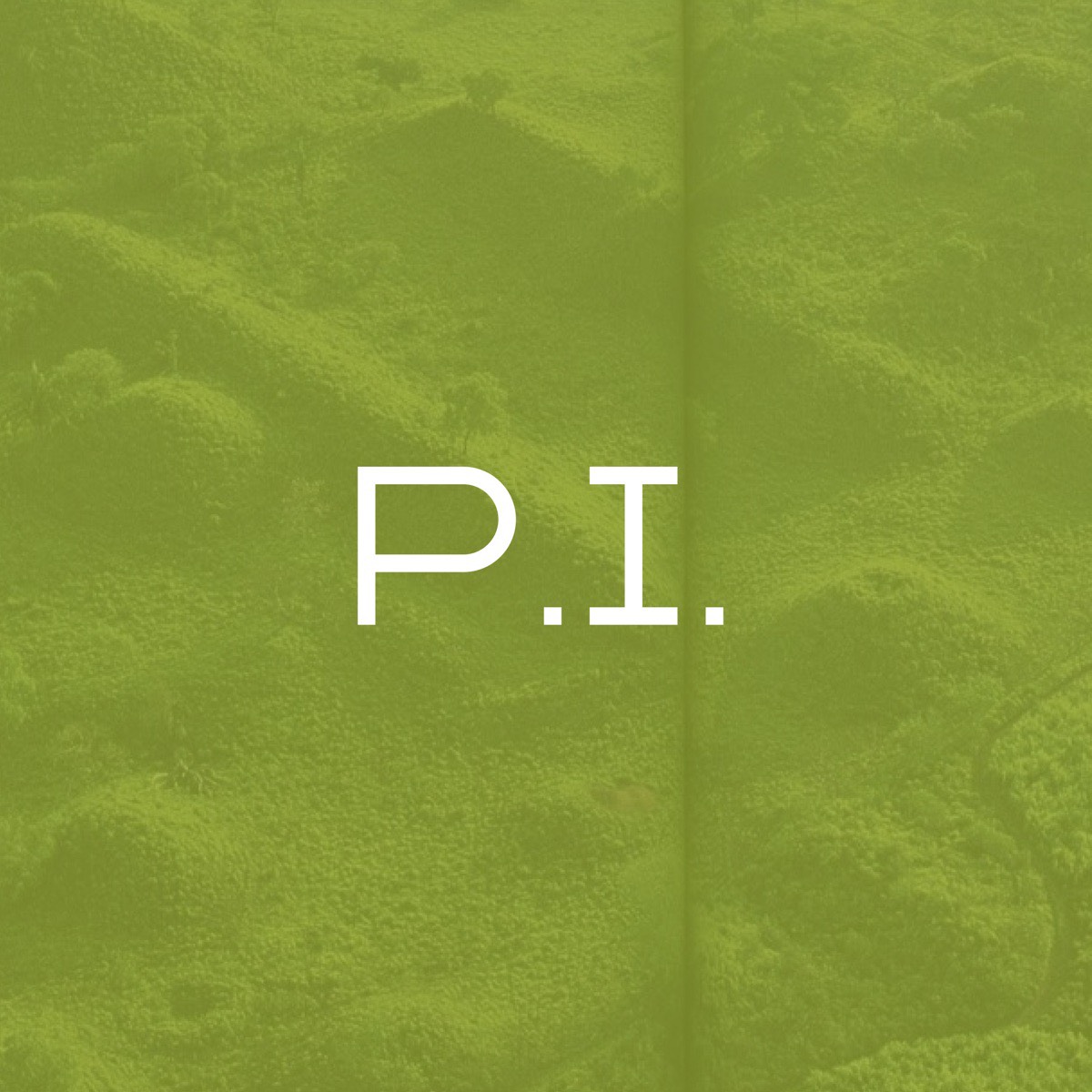 Полина Ионина | Бренд-стратегии и управление процессами маркетинга