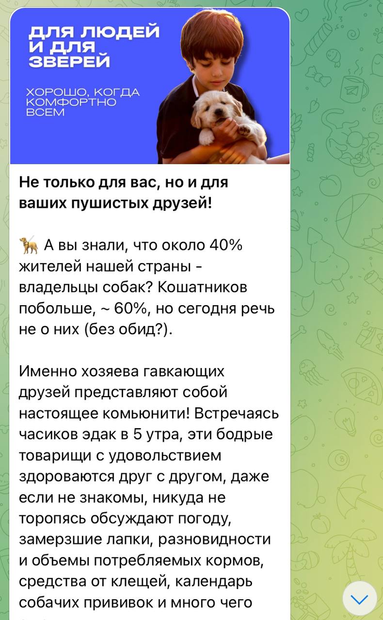 Как мы в «SMM Kvadrat» с нуля создали Telegram-канал застройщика AVA group на 2600 пдп практически без бюджета на продвижение
Строительный холдинг AVA group обратились к нам по рекомендации от агентст... | Сетка — социальная сеть от hh.ru