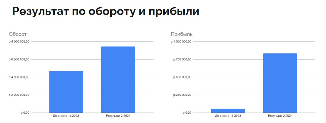 Кейс. Как мы попали в ЖОПУ и выбрались из неё с помощью ЖОПЫ за 3 месяца
Введение: Как к нам пришла ЖОПА?
Предыстория: К нам обратился производитель чемоданов, который продавал свою продукцию на Ozon | Сетка — социальная сеть от hh.ru
