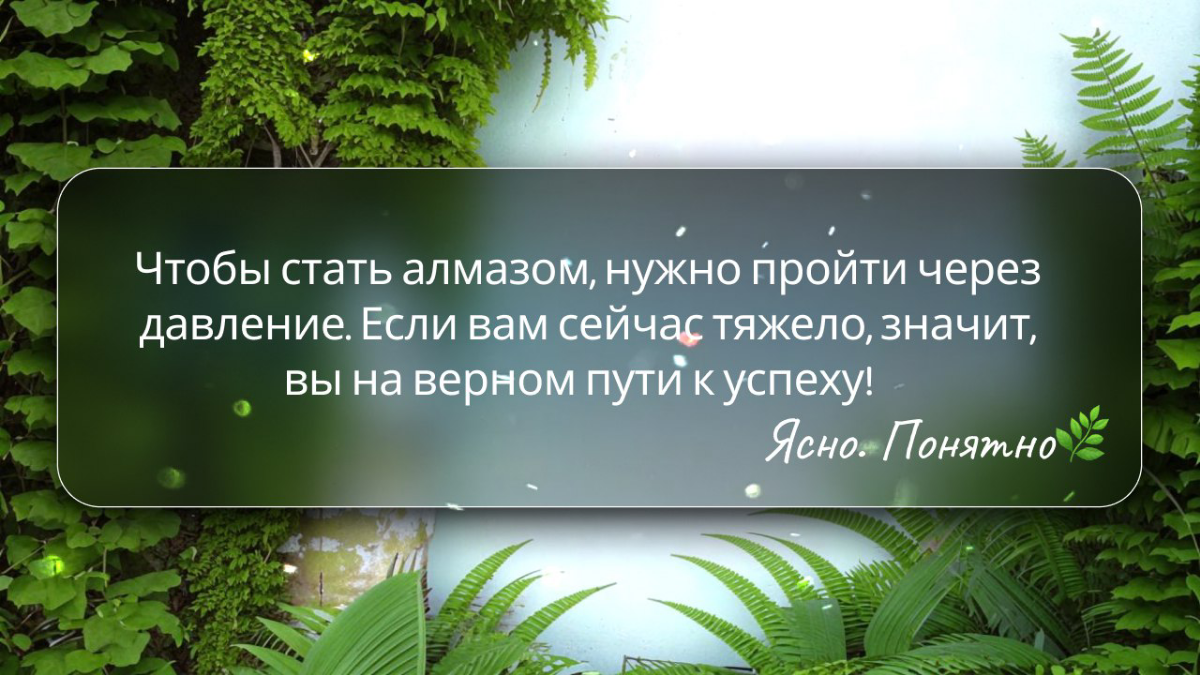 ☕️ Время включить свой «режим чемпиона» | Сетка — социальная сеть от hh.ru