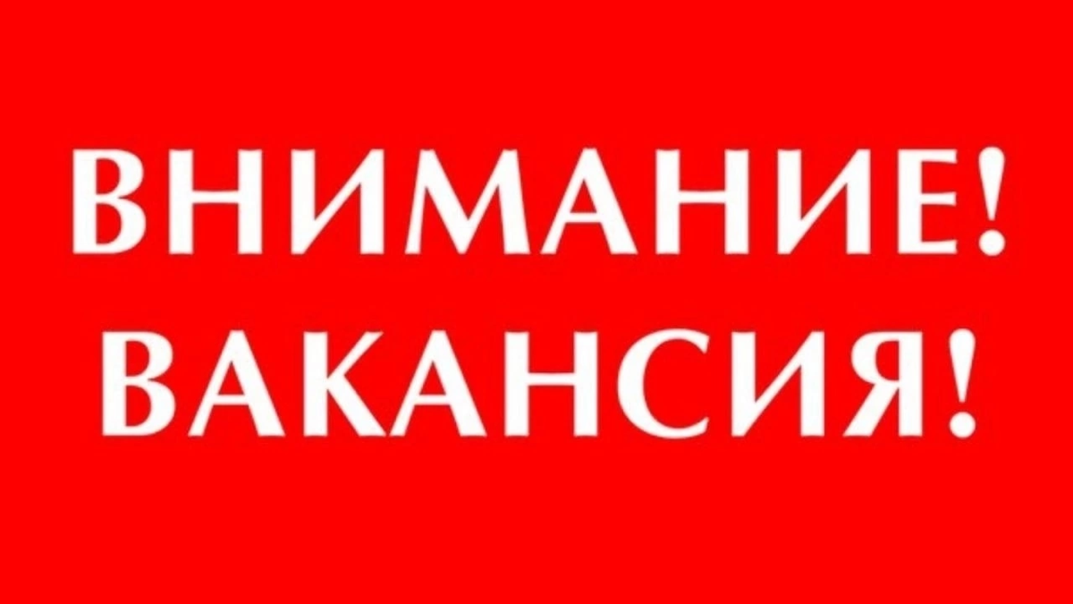 На удалённую работу приглашаются агенты⭐️ | Сетка — социальная сеть от hh.ru