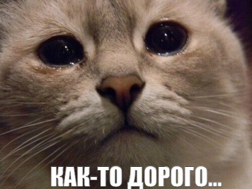 Как продвигать канал в телеграм?
Уверен, каждый, кто начал читать эту статью, хотя бы раз задумывался:
"Заходить в телеграм уже поздно, конкуренция слишком высока | Сетка — социальная сеть от hh.ru