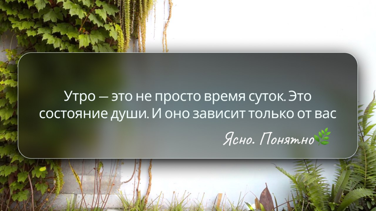 ☕️ 5 утренних лайфхаков, которые изменят ваш день | Сетка — социальная сеть от hh.ru