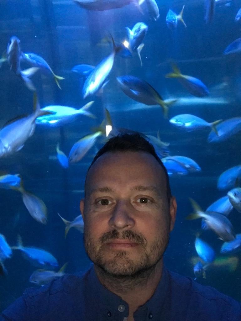 Daniel Rodichev | Сетка — социальная сеть от hh.ru