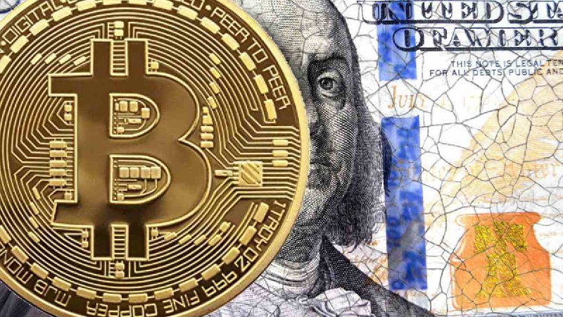 Какая валюта требует больше доверия — доллар США или биткоин? | Сетка — социальная сеть от hh.ru