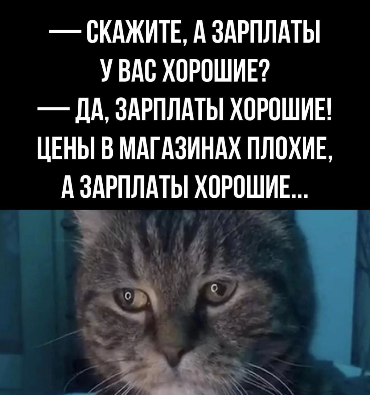 Сетка — социальная сеть от hh.ru