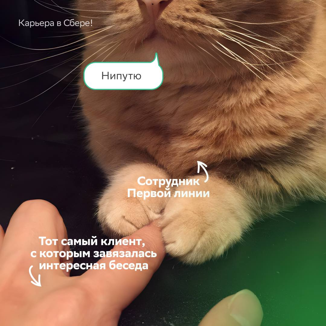 Когда думал, что нет такой работы, где нужно общаться и помогать людям, а теперь устроился в Первую линию Сбера и не можешь поверить своей удаче! 
 
Если коммуникабельность, эмпатия и отзывчивость — э... | Сетка — социальная сеть от hh.ru