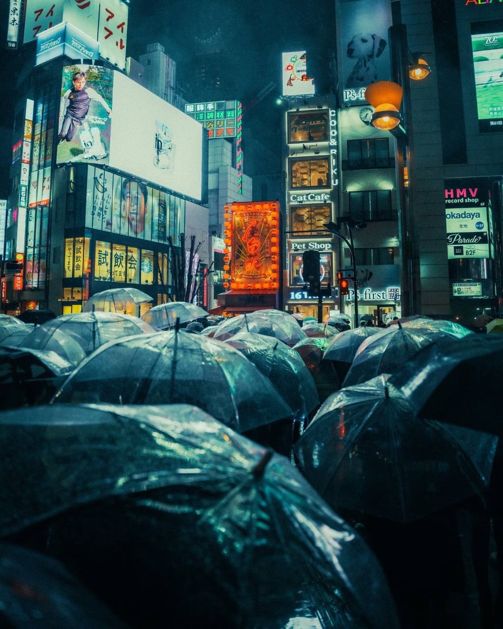 Ночной Токио в объективе британского фотографа Мачея Любомски
The Bytheway | Сетка — социальная сеть от hh.ru