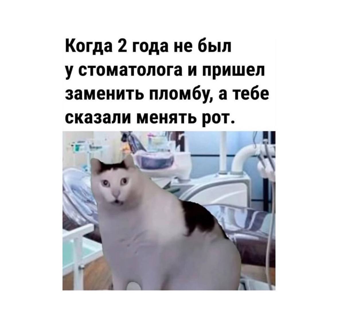 Минутка на посмеяться 🫣 | Сетка — социальная сеть от hh.ru