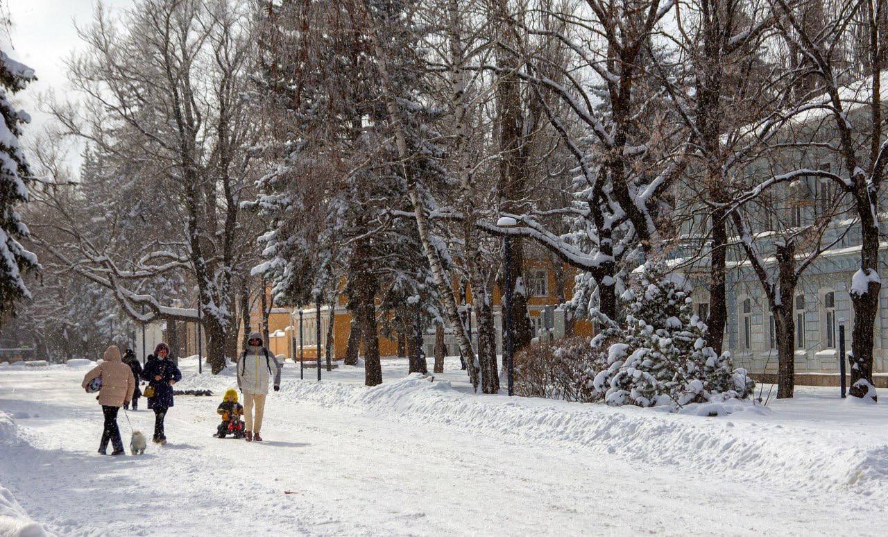 Волшебный снежный день в Ставрополе
📸 @shmellpublish
@stavropolyevibe | Сетка — социальная сеть от hh.ru