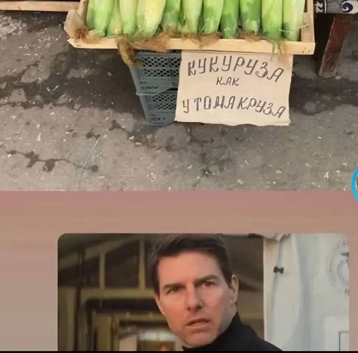 И такой тоже люблю 😀 | Сетка — социальная сеть от hh.ru