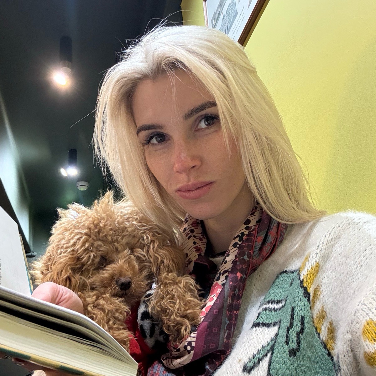 Network member avatar