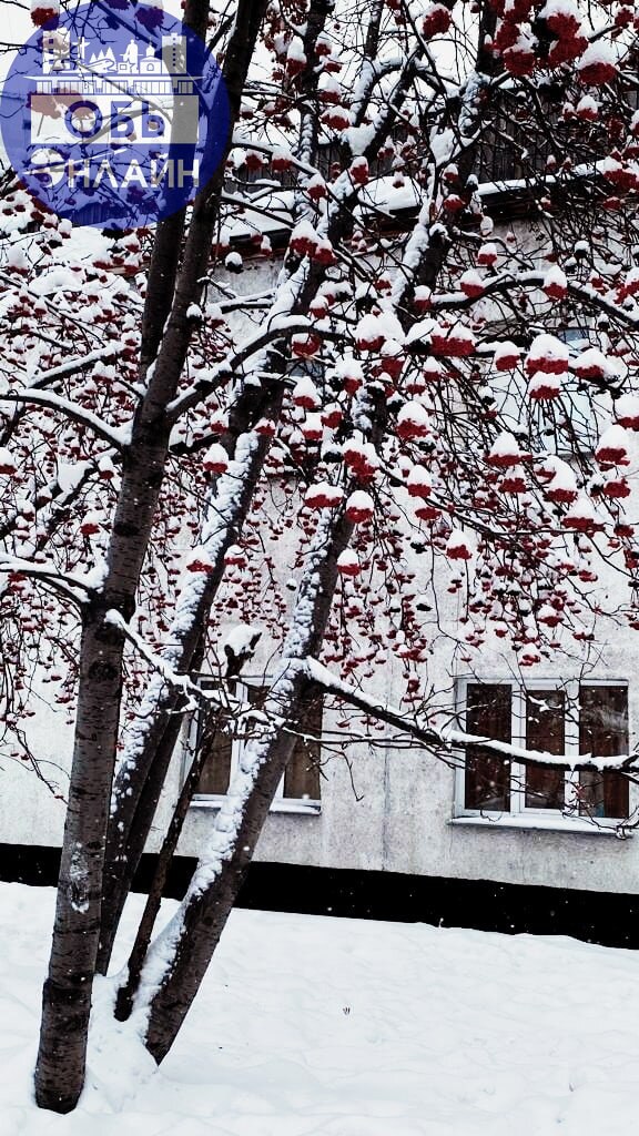 ↗ 21 февраля
Международный день родного языка.
Народный календарь, приметы и фольклор Руси
Захарий Серповидец | Сетка — социальная сеть от hh.ru