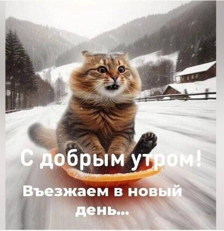 С добрым утром, Ставрополье!
@stavropolyevibe | Сетка — социальная сеть от hh.ru