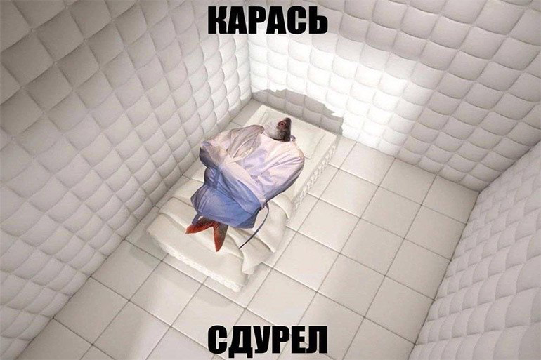 Каждый год перед праздниками одно и то же: агентства в панике придумывают подарки до трёх тысяч рублей (и они повторяются, потому что в этой цене их немного), а клиенты разгребают пакеты корреспонденц... | Сетка — социальная сеть от hh.ru
