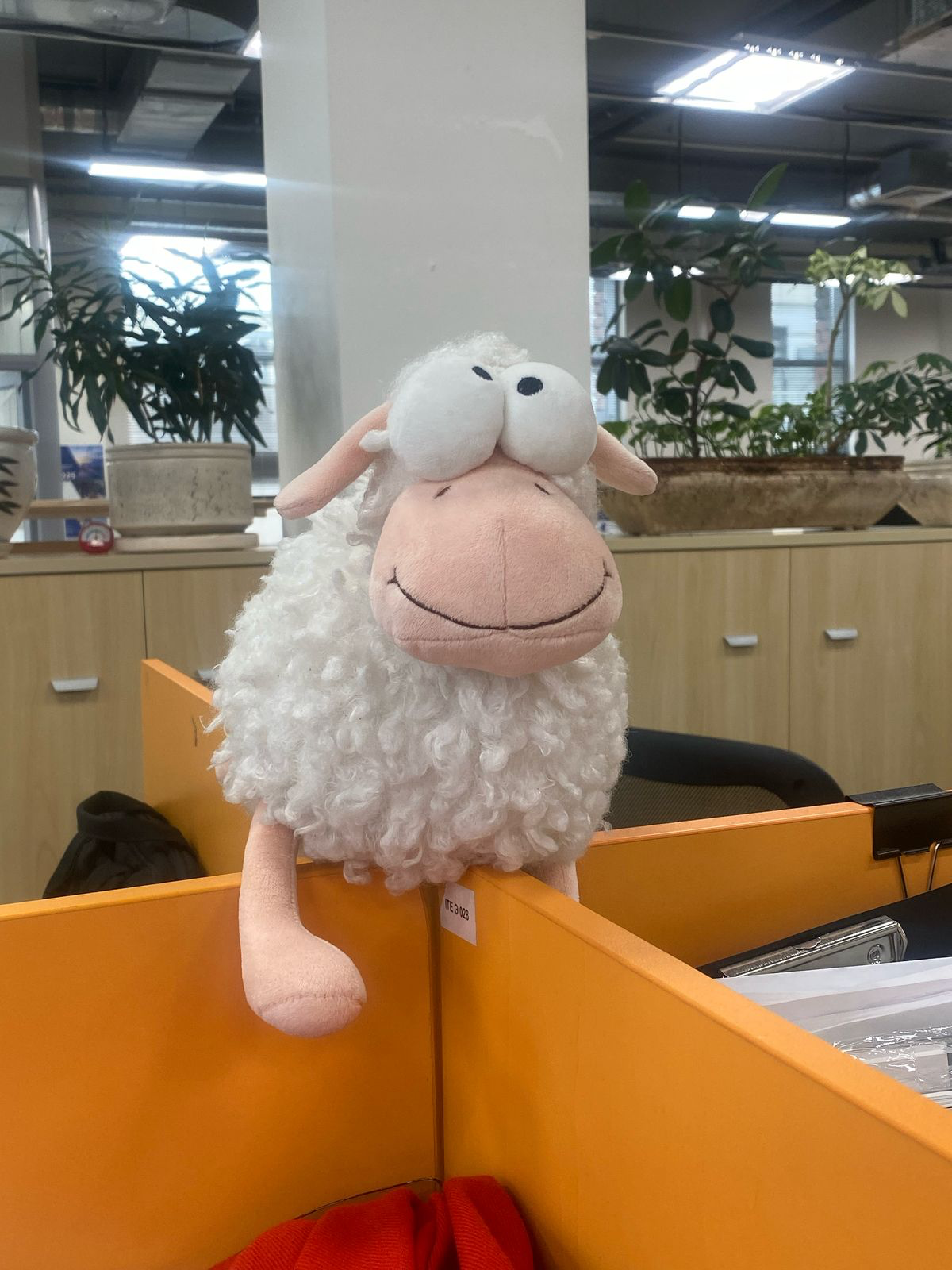 Тайный ритуал с "Раисой Захаровной" или играшка перемен | Сетка — социальная сеть от hh.ru