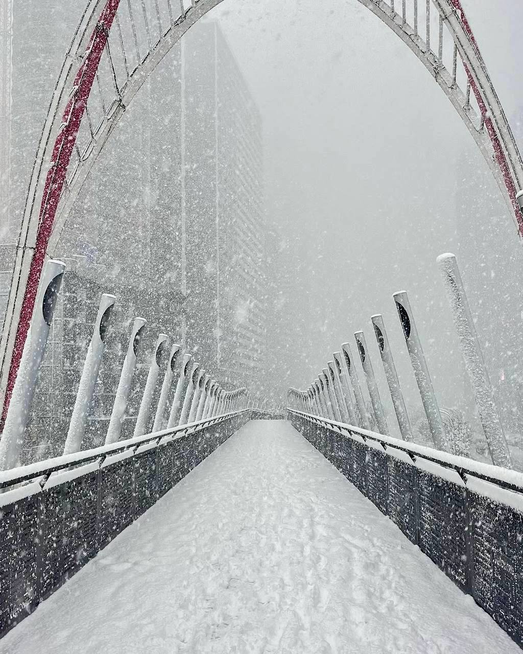 ❄️ Батуми сегодня накрыла снежная красота!
Город превратился в настоящую зимнюю сказку | Сетка — социальная сеть от hh.ru