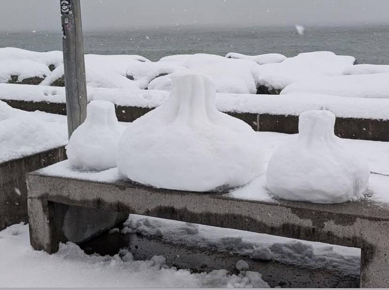 ❄️ Батуми сегодня накрыла снежная красота!
Город превратился в настоящую зимнюю сказку | Сетка — социальная сеть от hh.ru