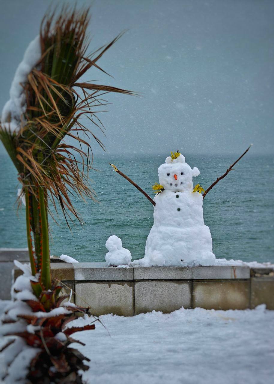 ❄️ Батуми сегодня накрыла снежная красота!
Город превратился в настоящую зимнюю сказку | Сетка — социальная сеть от hh.ru