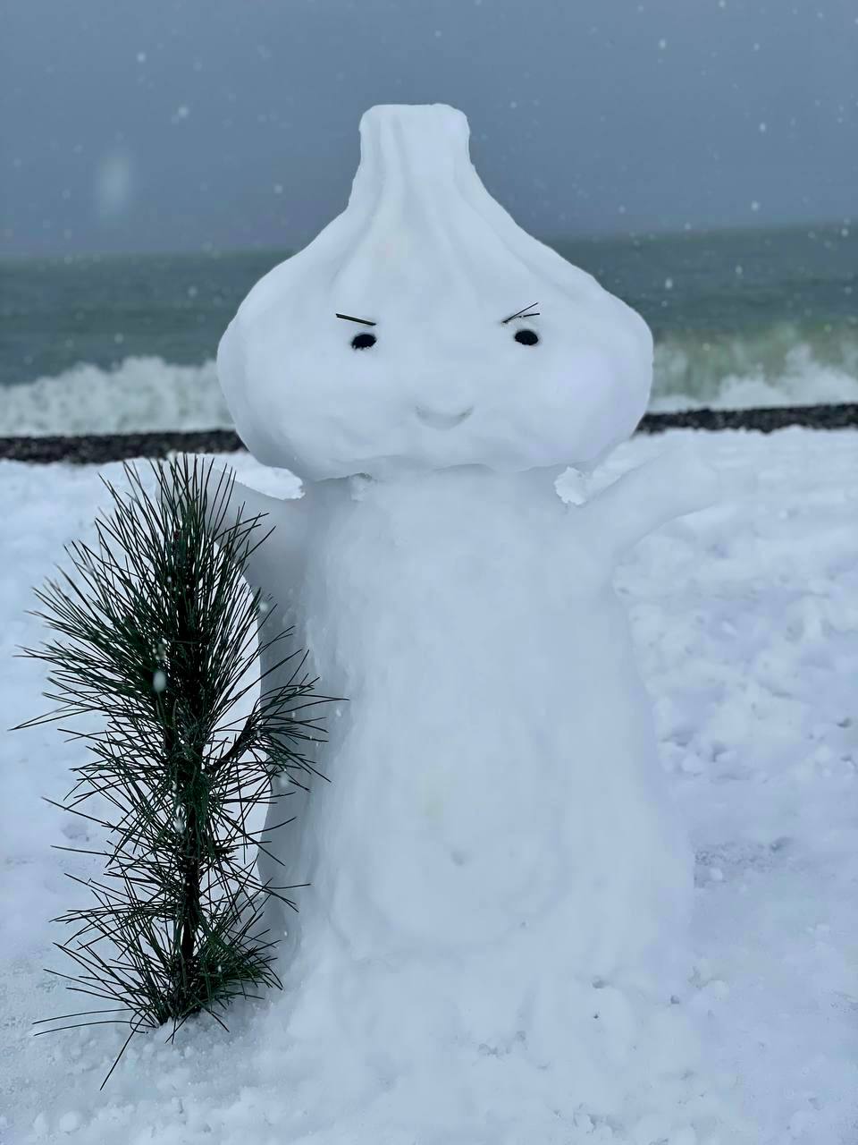 ❄️ Батуми сегодня накрыла снежная красота!
Город превратился в настоящую зимнюю сказку | Сетка — социальная сеть от hh.ru
